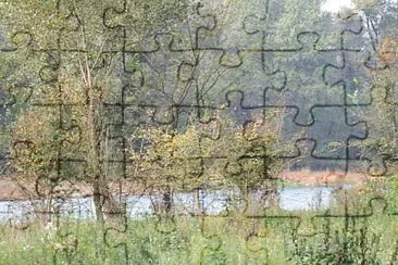 il bosco jigsaw puzzle