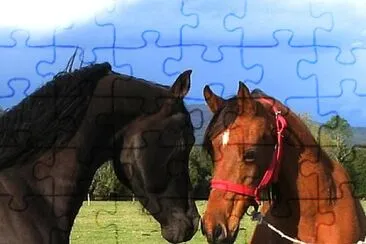 parejas animales jigsaw puzzle