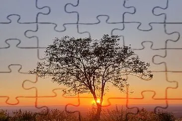 Coucher de soleil jigsaw puzzle