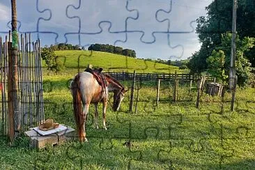 Égua Cristal jigsaw puzzle