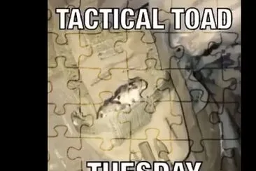 Tactical toad