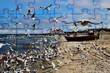 Am Strand in Seebad Ahlbeck jigsaw puzzle