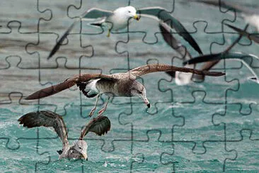 Toy jigsaw puzzle