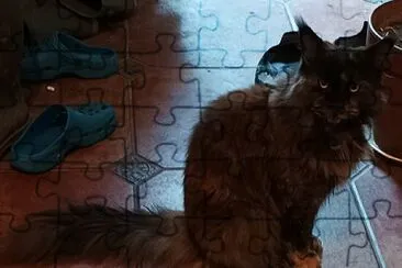 La chatte Neptune jigsaw puzzle