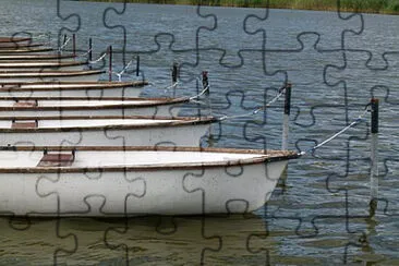 Toy jigsaw puzzle