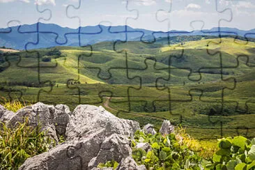 7 jigsaw puzzle