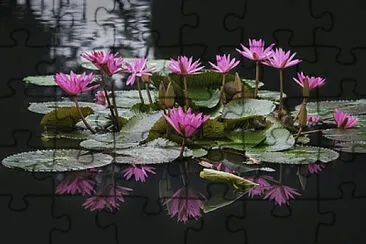 OK jigsaw puzzle