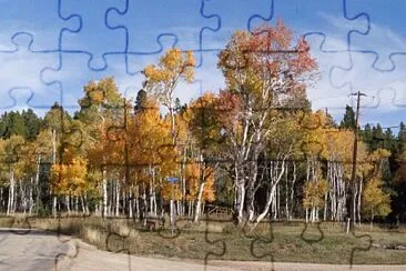 Aspens on Casper Mountain jigsaw puzzle