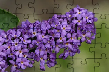 OK jigsaw puzzle