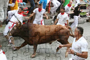 פאזל של San Fermin III