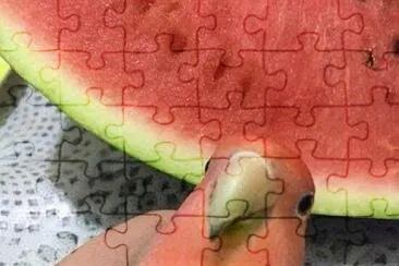 Sandia jigsaw puzzle