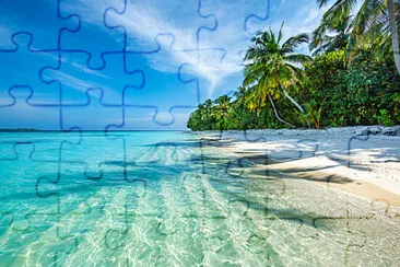 Toy jigsaw puzzle