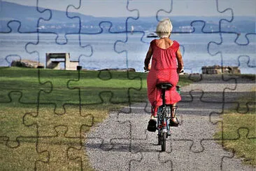 Toy jigsaw puzzle