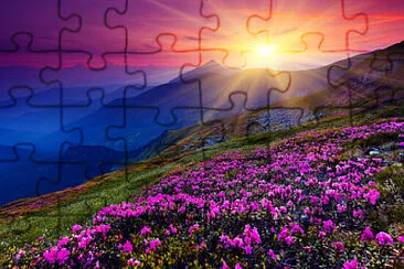 Toy jigsaw puzzle