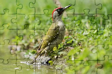 Toy jigsaw puzzle