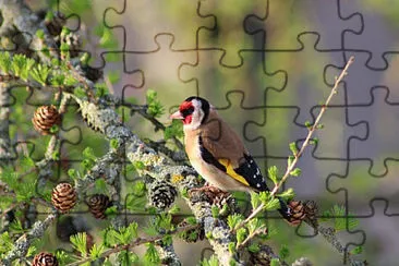 Toy jigsaw puzzle