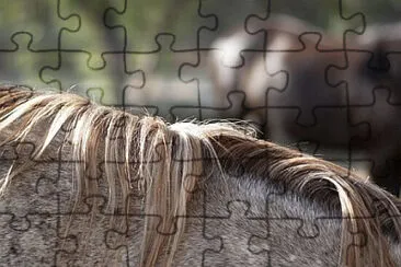 Toy jigsaw puzzle