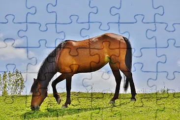 Toy jigsaw puzzle