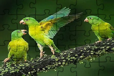 Toy jigsaw puzzle