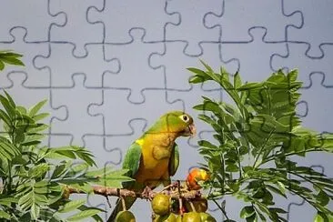 imagem jigsaw puzzle