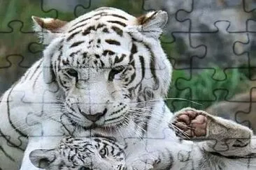 imagem jigsaw puzzle