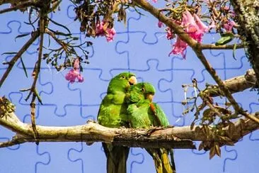 imagem jigsaw puzzle