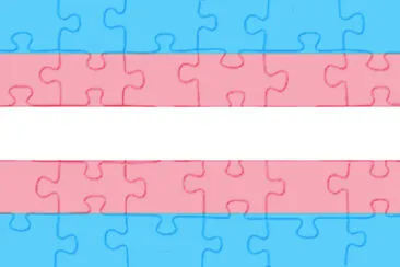 פאזל של Transgender Flag