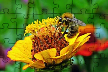 Toy jigsaw puzzle