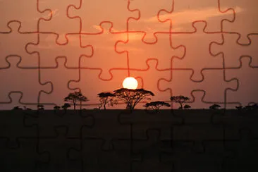 Toy jigsaw puzzle