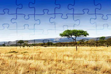 Toy jigsaw puzzle