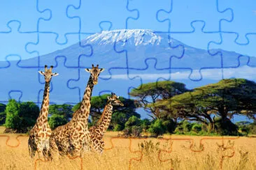 Toy jigsaw puzzle