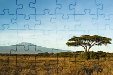 Toy jigsaw puzzle