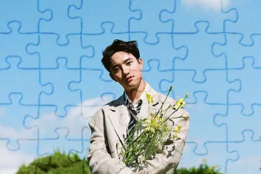 פאזל של d.o puzzle