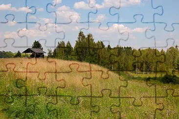 Toy jigsaw puzzle