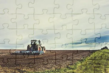 Toy jigsaw puzzle