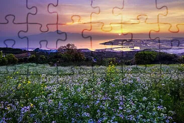 Toy jigsaw puzzle