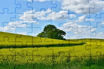 Toy jigsaw puzzle