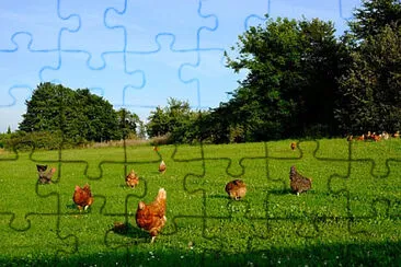 Toy jigsaw puzzle