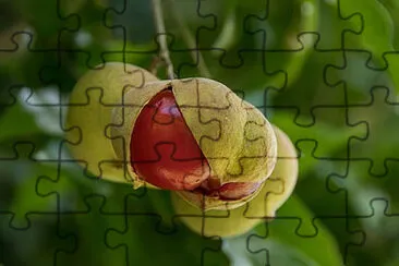 Toy jigsaw puzzle