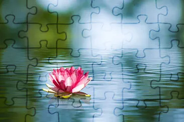 Toy jigsaw puzzle