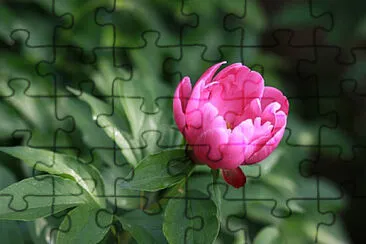 Toy jigsaw puzzle