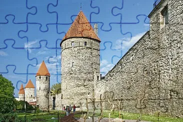 Toy jigsaw puzzle