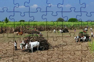 Toy jigsaw puzzle