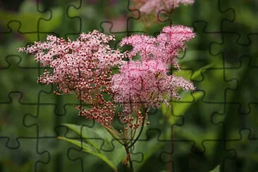 OK jigsaw puzzle