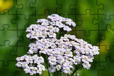 OK jigsaw puzzle