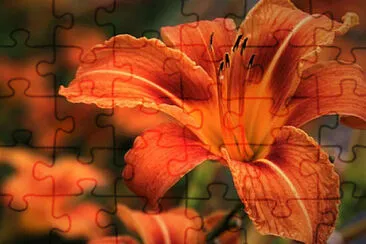 OK jigsaw puzzle