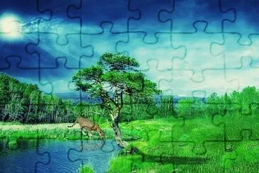 Toy jigsaw puzzle