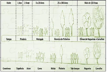 Sucessão Ecológica