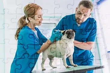 VETERINARIO jigsaw puzzle