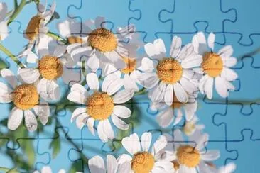 花 jigsaw puzzle